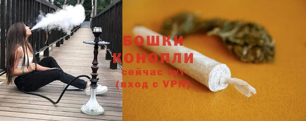 шишки Балабаново