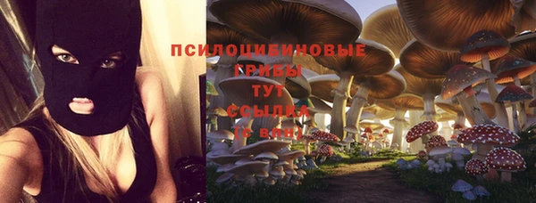MESCALINE Баксан