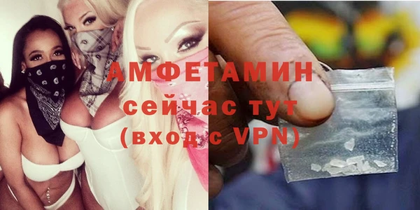 шишки Балабаново
