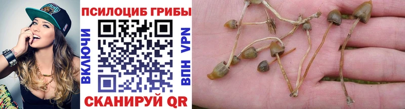 Галлюциногенные грибы Cubensis  Тимашёвск 